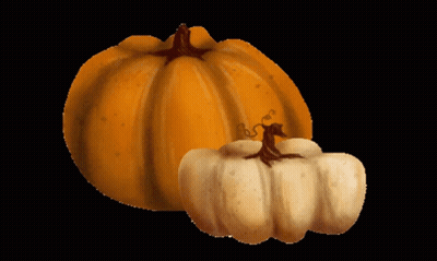 A Large Orange Pumpkin And A Smaller White Pumpkin Are On A Black Background GIF