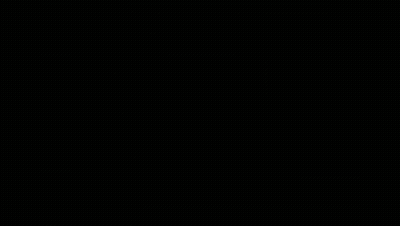 A Large School Of Fish Swimming In The Ocean . GIF