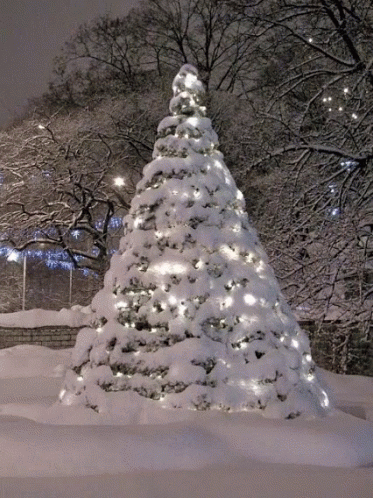 A Large Snow Covered Christmas Tree With Lights On It GIF