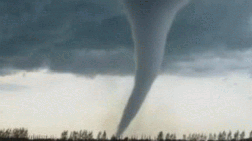 A Large Tornado Is Moving Through A Field With Trees In The Foreground . GIF
