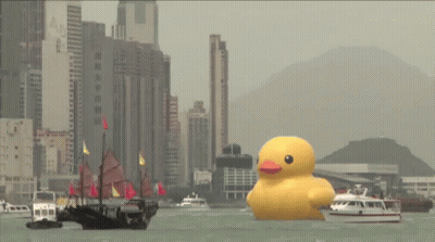 A Large Yellow Rubber Duck Is Floating In A Body Of Water In Front Of A City GIF