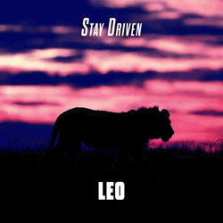 A Leo Walking On A Sunset GIF