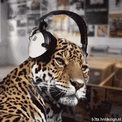 A Leopard Wearing Headphones With The Website Beta.hnldesign.nl Below It GIF