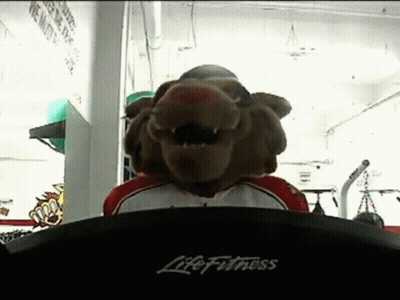 A Life Fitness Treadmill With A Stuffed Animal In The Background GIF