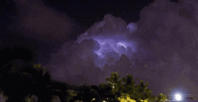 A Lightning Bolt Is Visible In The Night Sky Above A Fence And Palm Trees GIF