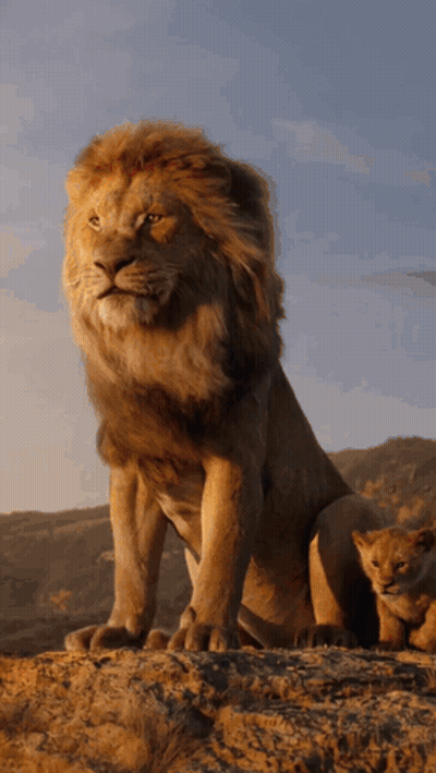 A Lion And A Cub Sitting On Top Of A Rock GIF