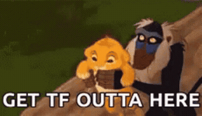 A Lion And A Monkey From The Lion King Are Sitting On A Rock . GIF