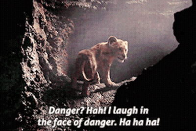 A Lion Cub In A Cave With The Words Danger Hah I Laugh In The Face Of Danger GIF