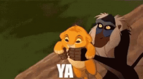 A Lion Cub Is Being Held By A Baboon In A Lion King Movie . GIF