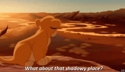 A Lion Cub Is Sitting On A Rock With The Words What About That Shadowy Place Below It GIF