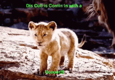 A Lion Cub Is Standing On A Rock With The Caption Dis Cub Is Comin In With A Roooar !! GIF