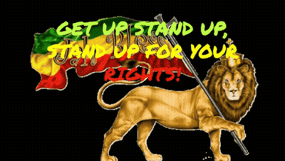 A Lion Holding A Flag With The Words " Get Up Stand Up Stand Up For Your Rights " GIF