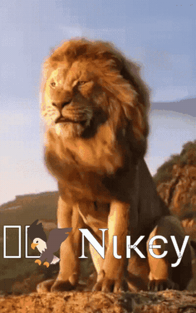 A Lion Is Sitting On A Rock With The Word Nikey On The Bottom GIF