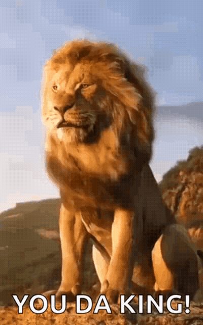 A Lion Is Sitting On Top Of A Hill With The Words `` You Da King '' Written Next To It . GIF