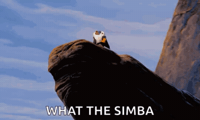 A Lion Is Sitting On Top Of A Rock With The Words What The Simba Written Below It . GIF