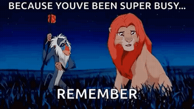 A Lion Is Standing Next To A Monkey In A Field . GIF