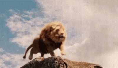 A Lion Is Standing On Top Of A Rock In The Sky . GIF