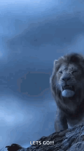 A Lion Is Standing On Top Of A Rocky Hill And Says Let 'S Go ! GIF