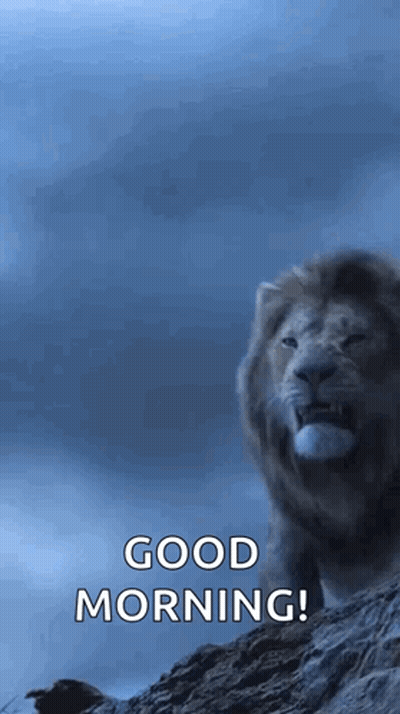 A Lion Is Standing On Top Of A Rocky Hill With The Words `` Good Morning '' Written Below It . GIF