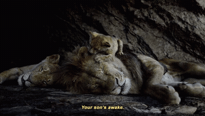 A Lion Laying Down With A Cub On Its Back And A Caption That Says Your Son 'S Awake GIF