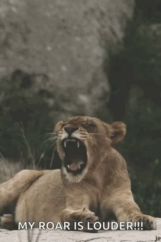 A Lion Laying Down With Its Mouth Wide Open And The Words " My Roar Is Louder " Above It GIF