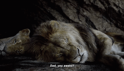 A Lion Laying Next To Another Lion With Dad You Awake Written Below It GIF