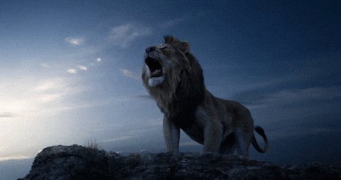 A Lion Standing On A Rock With Its Mouth Wide Open GIF