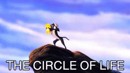 A Lion Standing On Top Of A Rock With The Words " The Circle Of Life " Below Him GIF