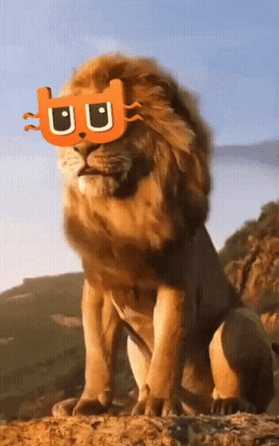 A Lion Wearing Sunglasses With The Letter U On Its Face GIF
