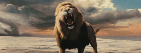 A Lion With Its Mouth Open Standing On A Hill GIF