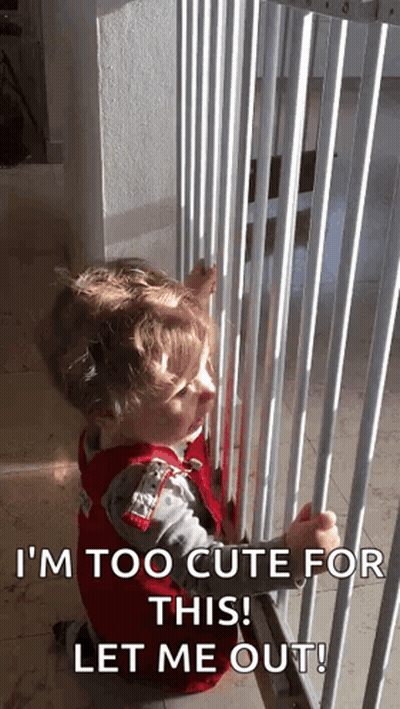 A Little Boy Is Looking Through A Fence And Says I 'M Too Cute For This Let Me Out ! GIF