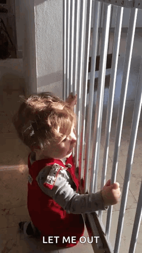 A Little Boy Is Looking Through A Fence With The Words Let Me Out Below Him . GIF