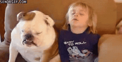 A Little Boy Is Sitting On A Couch With A Bulldog . GIF