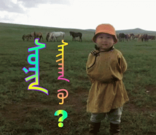 A Little Boy Standing In A Field With Horses In The Background And A Question Mark GIF