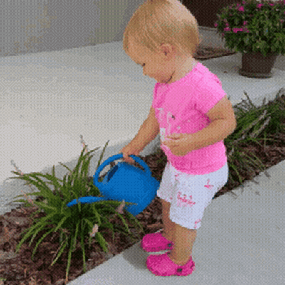 A Little Girl In A Pink Shirt Is Watering Plants GIF