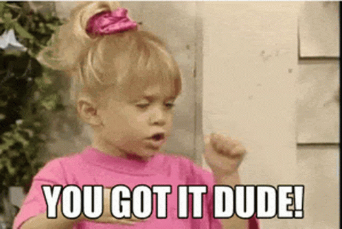 A Little Girl In A Pink Shirt Says You Got It Dude . GIF