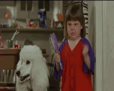 A Little Girl In A Red Dress Is Holding A Brush Next To A White Poodle GIF