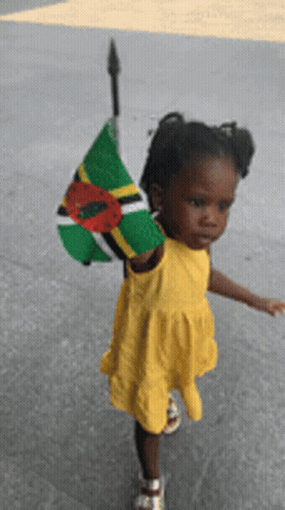 A Little Girl In A Yellow Dress Holds A Small Flag GIF