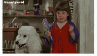 A Little Girl Is Holding A Brush Next To A Poodle GIF
