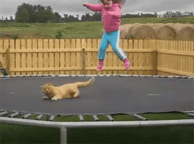 A Little Girl Is Jumping On A Trampoline With A Cat On The Ground GIF