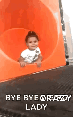 A Little Girl Is Sliding Down An Orange Slide With The Caption Bye Bye Crazy Lady GIF