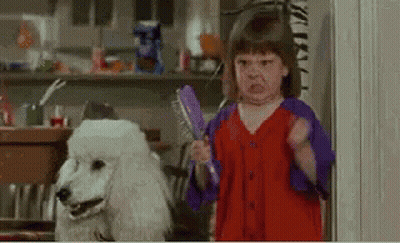 A Little Girl Is Standing Next To A White Poodle Holding A Brush In Her Hand . GIF