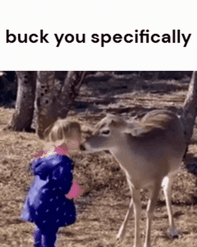 A Little Girl Standing Next To A Deer With The Words Buck You Specifically GIF