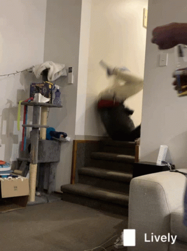 A Living Room With A Cat Tree And Stairs And The Word Lively On The Bottom Left GIF