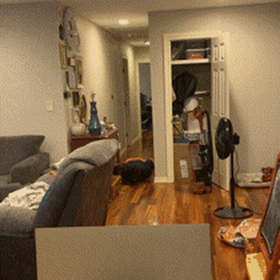 A Living Room With A Couch And A Fan In It GIF