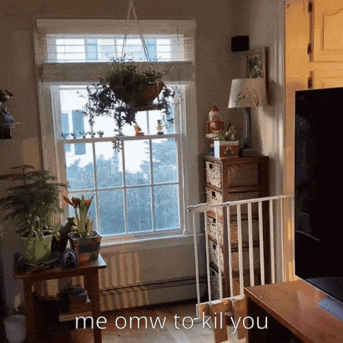 A Living Room With A Fence And A Window With The Words " Me Omw To Kill You " GIF