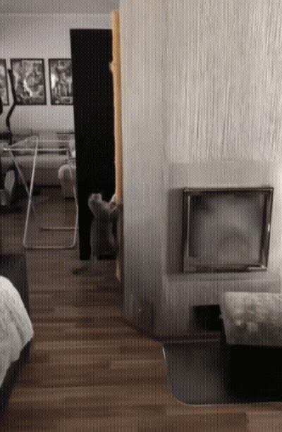 A Living Room With A Fireplace And A Tv GIF