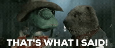 A Lizard And A Otter Are Standing Next To Each Other And The Otter Says That 'S What I Said GIF