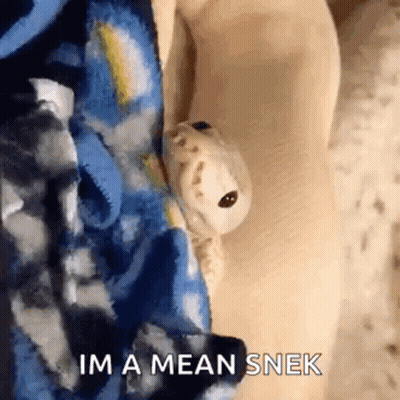 A Lizard Is Sitting On A Person 'S Arm With The Words `` Im A Mean Snek '' Written On It . GIF