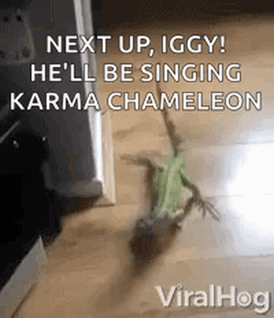 A Lizard Is Standing On A Wooden Floor Next To A Door And Singing . GIF